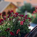 公寓 Xxl Cosy Goisern, Centre With Mountain View *