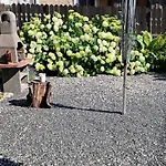Apartamento Xxl Cosy Goisern, Centre With Mountain View *