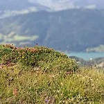 Xxl Cosy Goisern, Centre With Mountain View 公寓 *