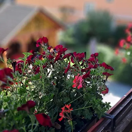 Apartman Xxl Cosy Goisern, Centre With Mountain View *