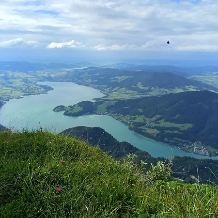 Apartman Xxl Cosy Goisern, Centre With Mountain View *