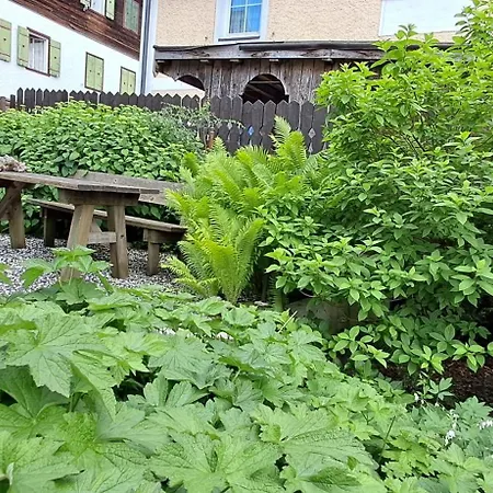 Xxl Cosy Goisern, Centre With Mountain View Бад Гоисерн