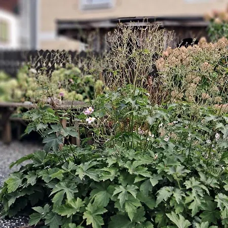 Xxl Cosy Goisern, Centre With Mountain View Apartment Bad Goisern