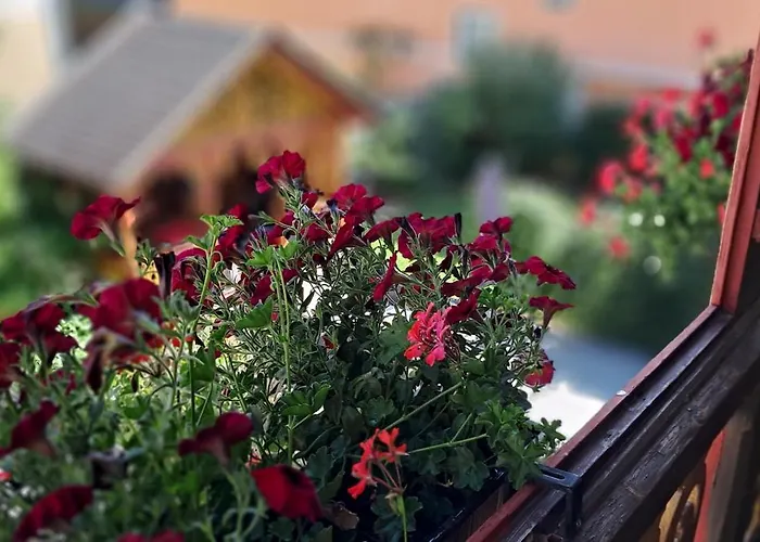 Διαμέρισμα Xxl Cosy Goisern, Centre With Mountain View *