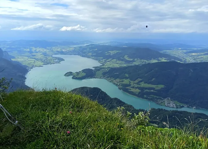 Appartement Xxl Cosy Goisern, Centre With Mountain View *