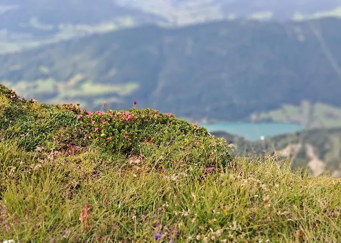 Xxl Cosy Goisern, Centre With Mountain View 公寓 *